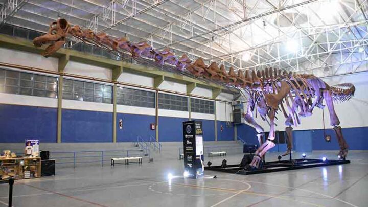 EL DINOSAURIO MAS GRANDE DEL MUNDO EN PUERTO MADRYN