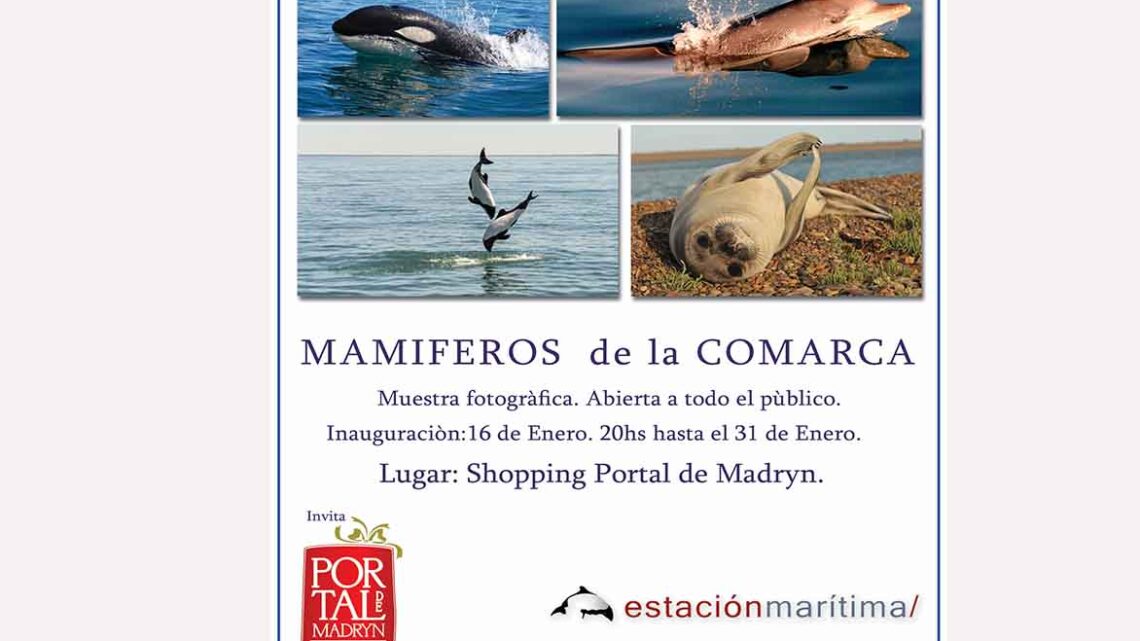 “MAMIFEROS DE LA COMARCA” VIRCH-VALDEZ EN EL PORTAL