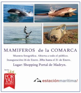 mamiferos-de-la-comarca