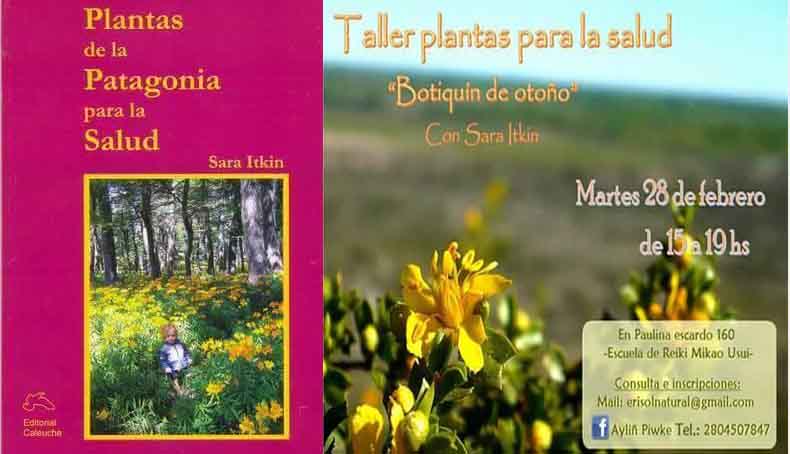 TALLER Y CHARLA DE PLANTAS MEDICINALES