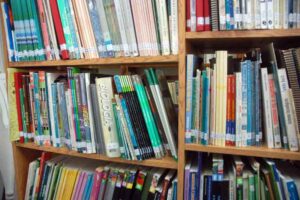 biblioteca pedagogica(1)