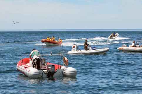 «FIESTA NACIONAL DEL SALMÓN»