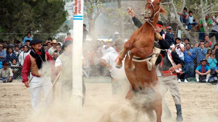 JINETEADA DE MAYO EN EL «LEOPOLDO REMUSSI»