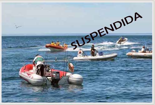 SUSPENDEN LA FIESTA NACIONAL DEL SALMÓN EN CAMARONES