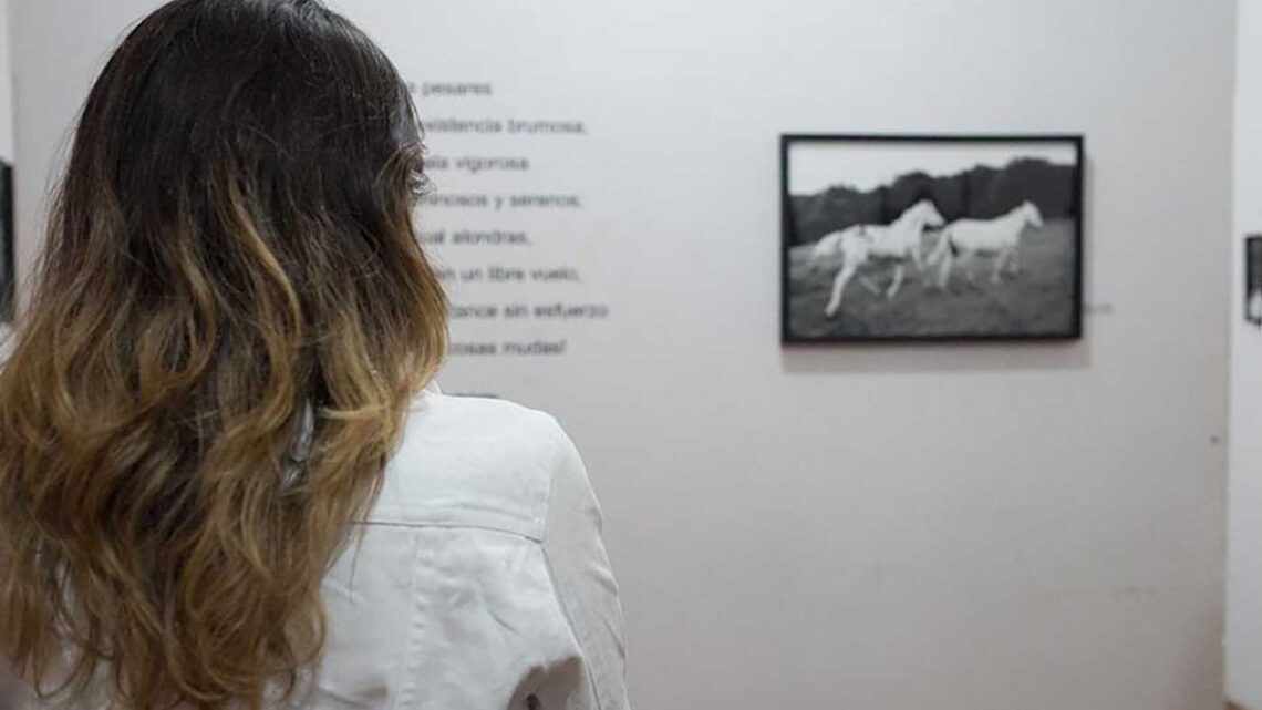 CHARLA A CARGO DE LA FOTÓGRAFA VERÓNICA MASTROSIMONE