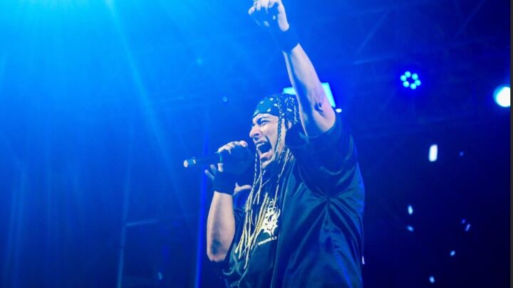 SHOWS DEL VERANO: “LOS DRAGONES”,  “LAS PELOTAS” Y ARTISTAS LOCALES