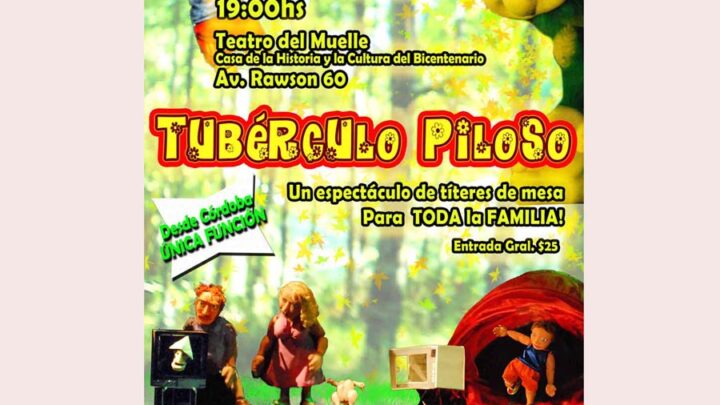 TÍTERES DE MESA “Tubérculo Piloso”