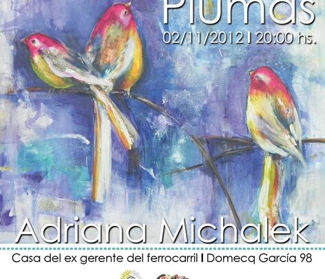 Se inaugura la muestra “Plumas”