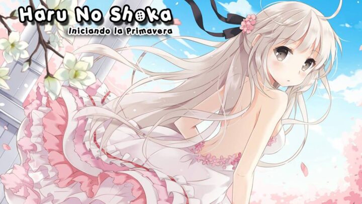 HARU NO SHOKA POR LA BIBLIOTECA BRAILE PARLANTE DE MADRYN