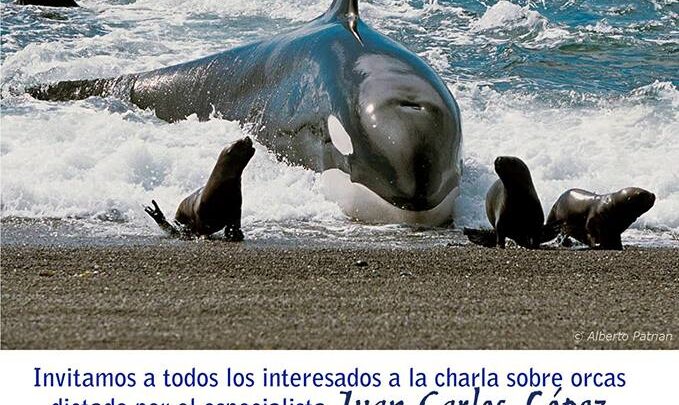 CICLO DE CHARLAS: UN DELFIN LLAMADO ORCA