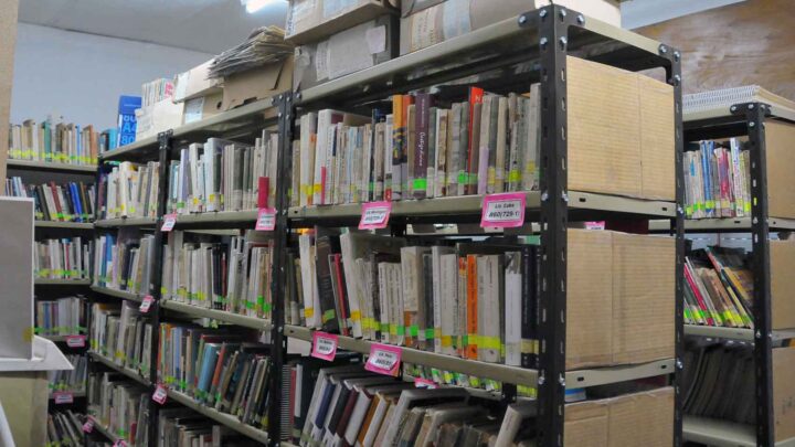 HOY SE CONMEMORA EN ARGENTINA EL “DIA DEL BIBLIOTECARIO “