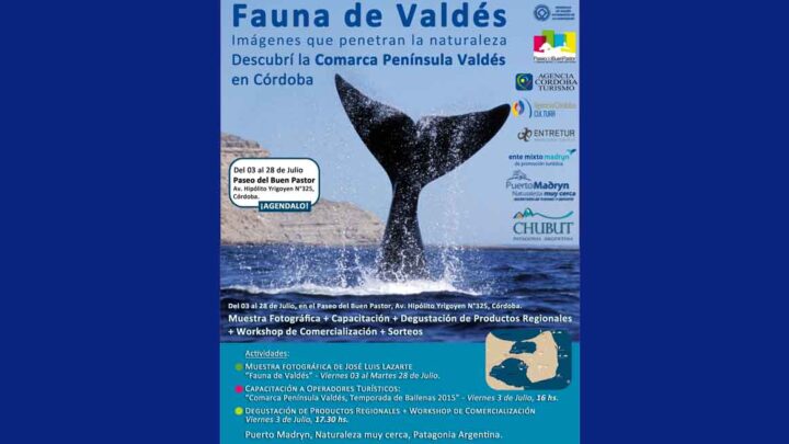 PUERTO MADRYN EN CÓRDOBA