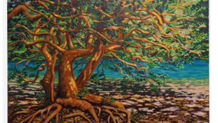 MIRELLA MARTINEZ INAUGURA “PATAGONIA FANTASY” EN BUENOS AIRES