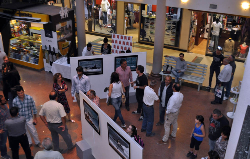 «ORCAS EN LIBERTAD» EN EL PORTAL DE MADRYN