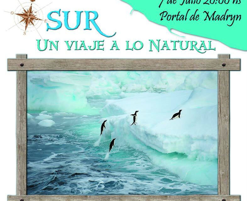 “SUR UN VIAJE A LO NATURAL “MUESTRA FOTOGRAFICA DE ANDRES BONETTI