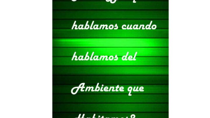DE QUE HABLAMOS CUANDO HABLAMOS DEL AMBIENTE QUE HABITAMOS