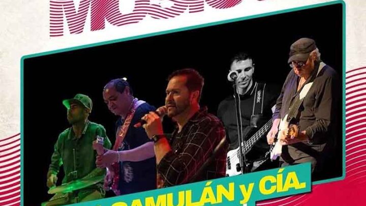 CICLO NUESTROS MUSICOS