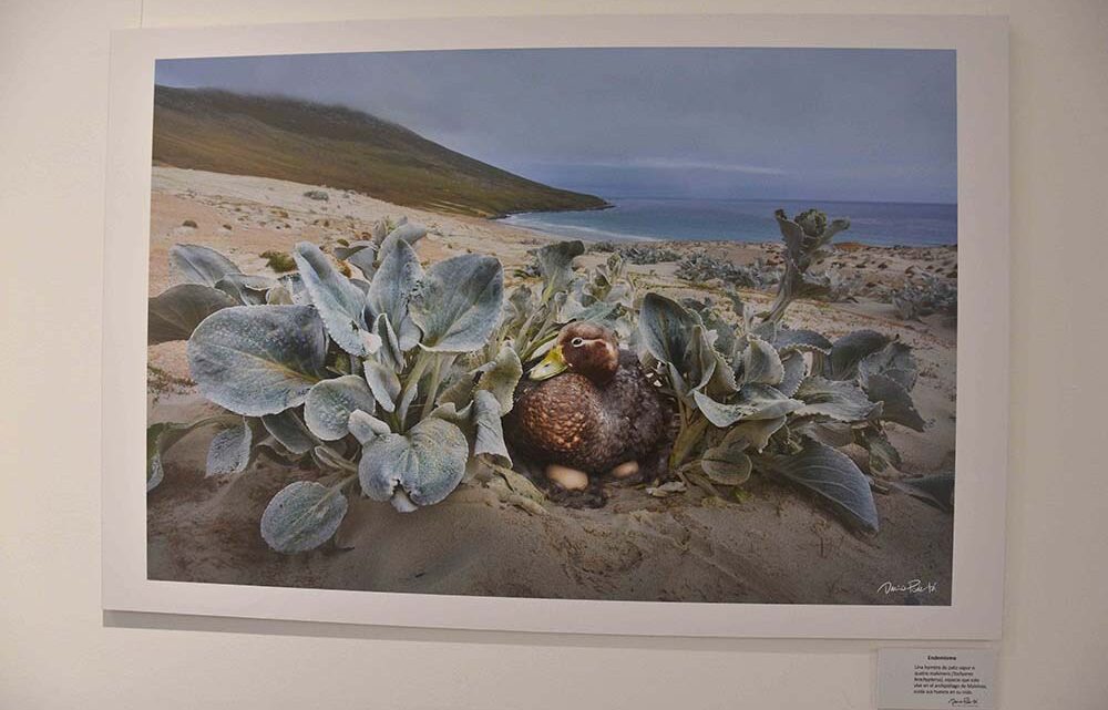 MUESTRA FOTOGRAFICA DE DARIO PODESTÁ EN EL ECOCENTRO PAMPA AZUL