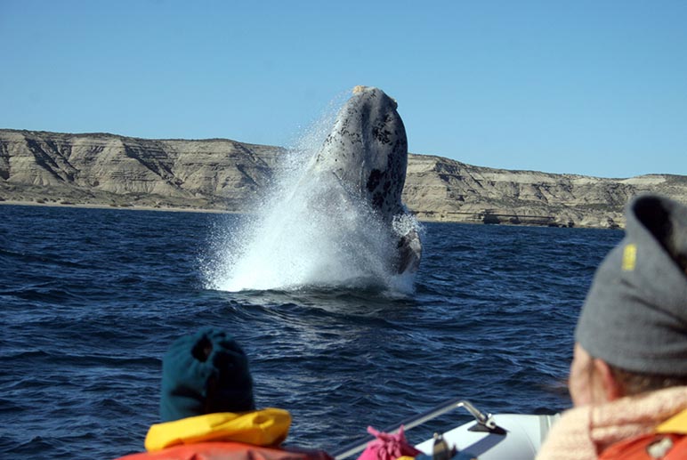 EFEMERIDES: 11 DE OCTUBRE DIA DE LA PATAGONIA